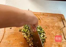 Illustration of braised lion head home-cooked version 2