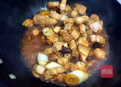 Illustration of home-cooked braised pork 7