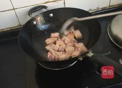 Braised Pork Recipe Illustration 3