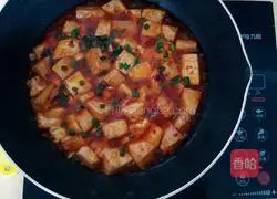 Braised tofu recipe 9
