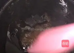 Illustration of Braised Pork with Wild Onions 5