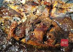 Illustration of braised fish stuffed with meat 5