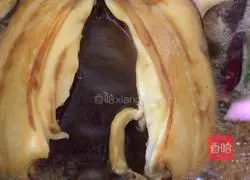 Illustration of how to make spiced cuttlefish 12