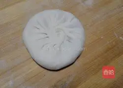 Pork and green onion pie recipe 7