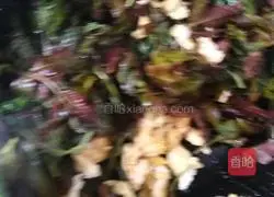 Illustration of how to make Chinese toon scrambled eggs 5