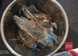 Illustration of how to cook crabs in typhoon shelter 1