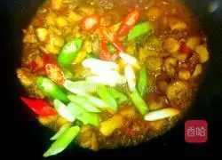 Illustration of how to make braised chicken 7