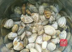 Illustration of how to make spicy fried clams 1