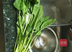 Rice noodle soup recipe 5