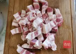 Illustration of home-cooked braised pork 1