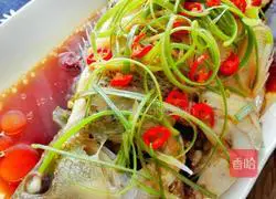 Illustration of steamed sea bass 9