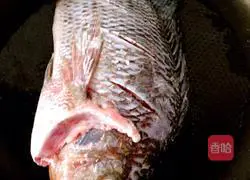 Braised Tilapia Illustration of how to do it 3