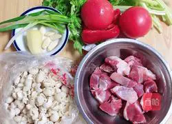 Illustration of Cumin Lamb Cat Ears 1