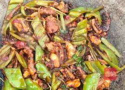 Illustration of how to fire squid 16