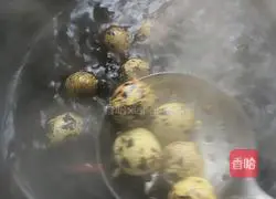 Illustration of how to make spiced quail eggs 9