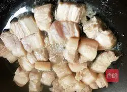 Braised Pork Recipe Illustration 3