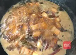 Illustration of Braised Pork Recipes 9
