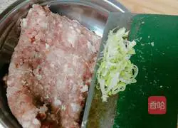 Illustration of Braised Lion Head 2