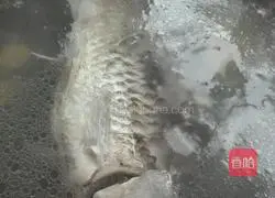 Casserole crucian carp soup recipe 8