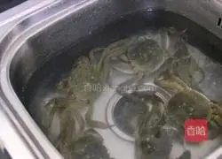 Illustration of steamed hairy crabs 2