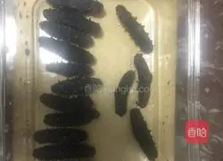 Illustration of soaking sea cucumber 1