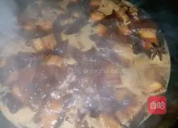 Illustration of braised pork recipe 9