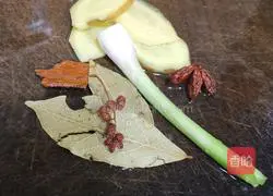 Illustration of braised beef brisket with radish 7