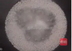 Illustration of how to make lean meat pearl powder 2