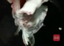 Illustration of how to make sweet and sour carp 8