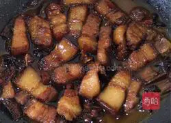 Braised Pork Recipe Illustration 5