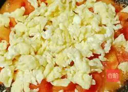 Illustration of how to make tomato and egg bento 8