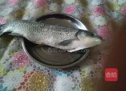 Illustration of braised grass carp 1