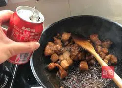 Illustration of home-cooked braised pork 9