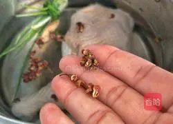 Illustration of how to make saliva chicken 4