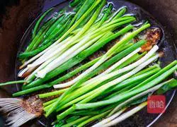 Illustration of braised crucian carp with green onions 8