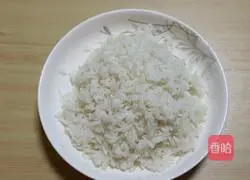 Egg Fried Rice Recipe Illustration 1