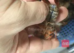 Illustration of how to make spicy crayfish 1