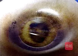 Illustration of how to make Dongpo pork (improved version) 4