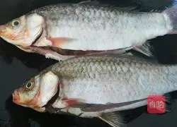Braised crucian carp recipe 6
