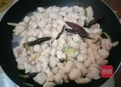 Illustration of Northeastern Kung Pao Chicken 6