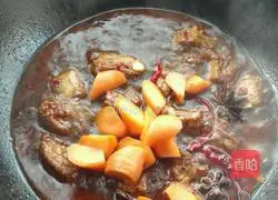 Illustration of Sichuan Style Potato Braised Pork Ribs 16