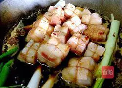 Illustration of Dongpo Pork (Improved Version) 17