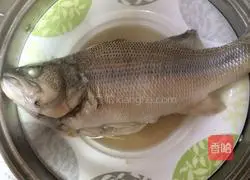 Cantonese style steamed fish illustration 10