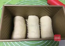 Basic bread + salty toast recipe 16