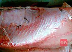 獍粑Illustration of how to cook fish 1