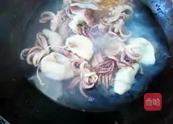 Illustration of how to make clear water squid 4