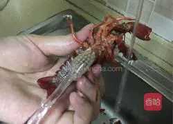 Illustration of how to handle crayfish 1