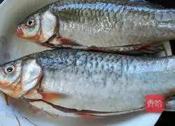 Illustration of braised crucian carp 4