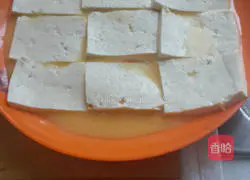 Illustration of Yuan's Hot Pot Tofu Recipe 3