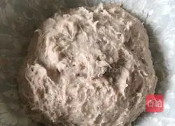 Illustration of how to make fish balls 5